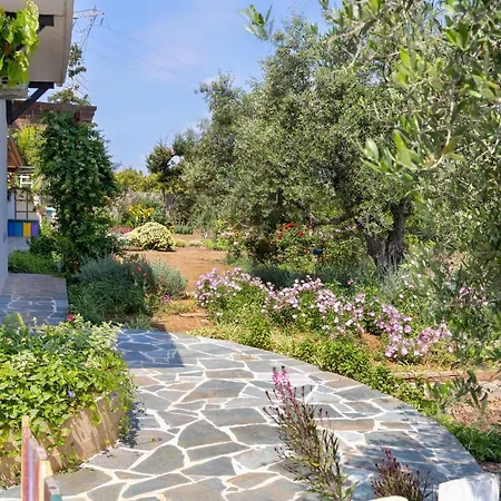 Eliva House Holiday home *