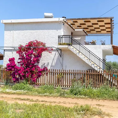 Eliva House *