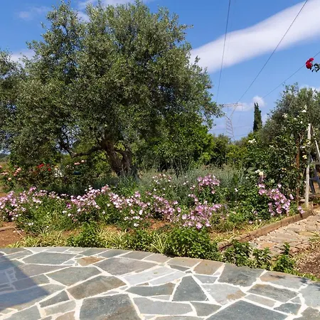 Eliva House Dom wakacyjny Chania (Crete)